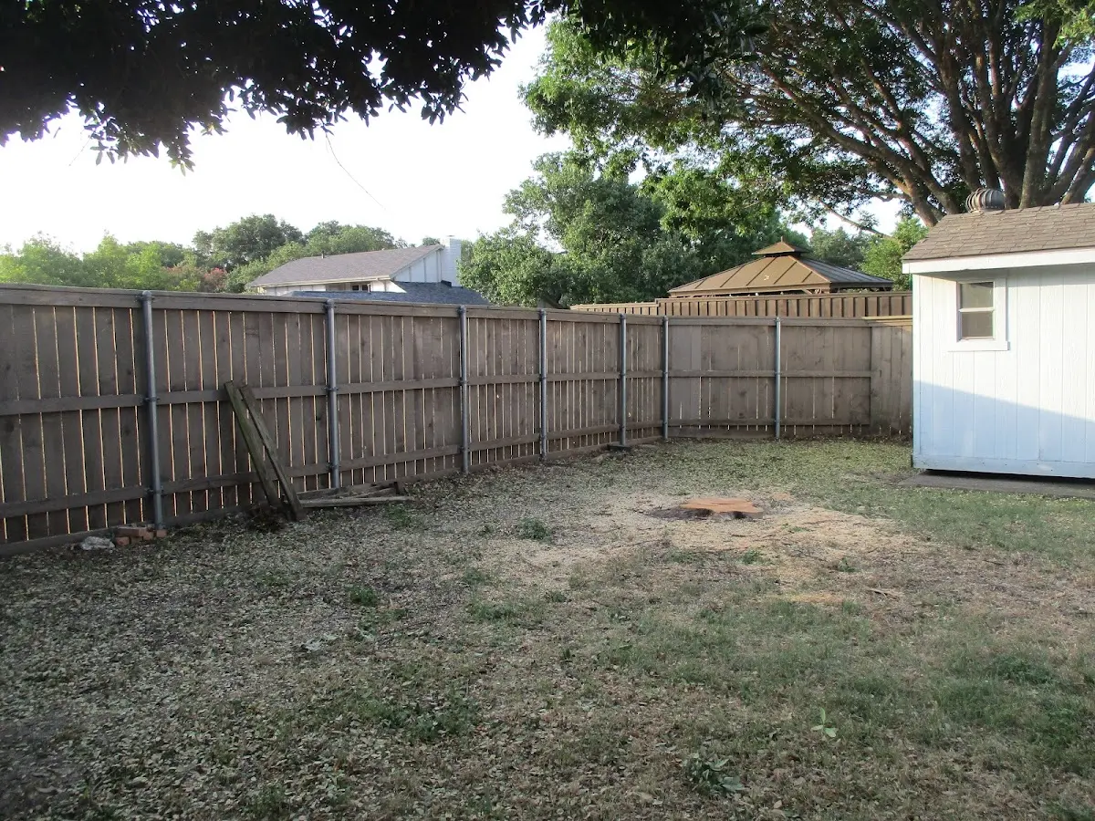 Cleared yard after professional tree removal in Hays