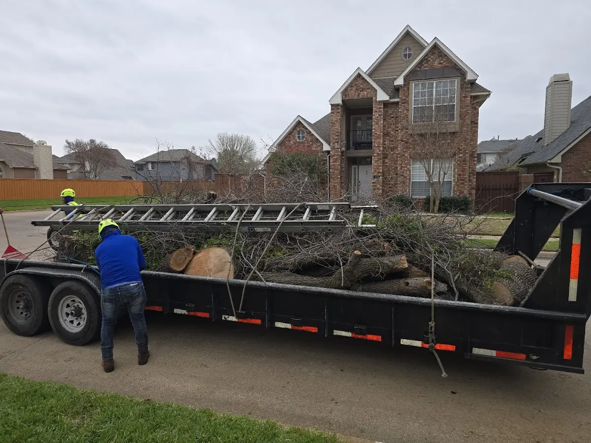 Expert Tree Fertilization with proper safety equipment in Hays